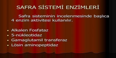 Safra Enzimleri